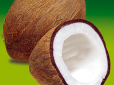 Cocos