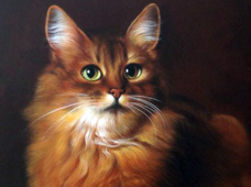 Gato