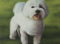 Idefix