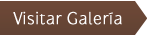 viditar galería